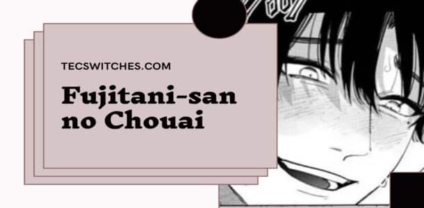 Fujitani-san no Chouai